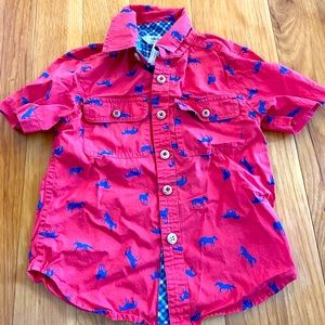 Matilda Jane x Joanna Gaines collection